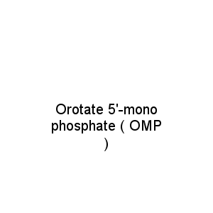 Orotate 5'-monophosphate ( OMP )